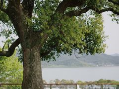 -东钱湖旅游度假区