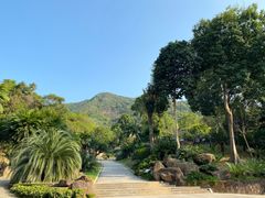 -深圳仙湖植物园