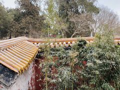 景点-景山公园