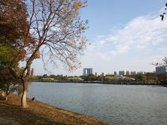 -白塘生态植物园