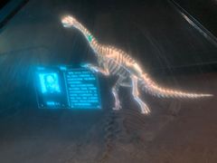 -世界恐龙谷景区