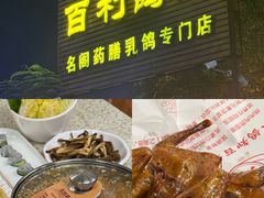 -百利鸽王(紫薇路店)