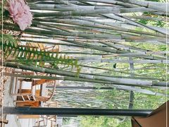 -扫雪煮茶(西村店)