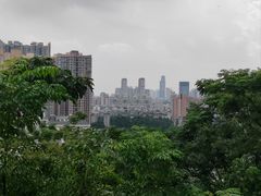 -佛山华盖山公园