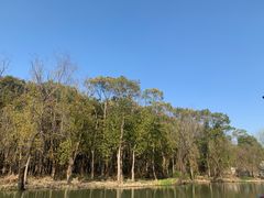 -同里国家湿地公园