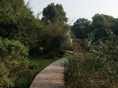 -东湖落雁景区