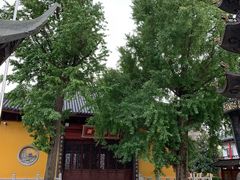 -上海青龙寺