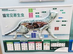 -瑞派·关忠动物医院·异宠专科·犬猫肿瘤·皮肤专科(望京店)