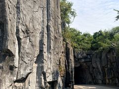 -巢湖姥山岛