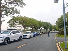 -长洲岛