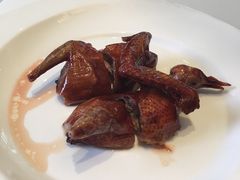 乳鸽-西郊壹号