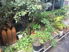 -随柳居·苏式小吃(建新巷店)