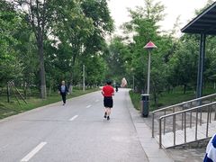 -长白岛森林公园