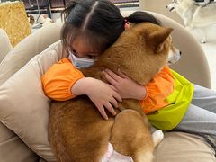 -怪兽屋·羊驼·猫咖·狗咖(俊华广场店)