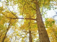 -渭河城市绿地运动公园