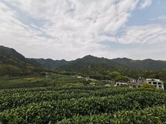 -听风阁农家私房菜茶楼(龙坞店)