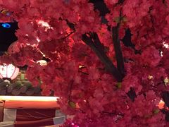 -探花·意境江南菜·唐伯虎文化体验店·松鼠桂鱼(观前店)