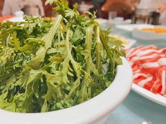 -友谊肥牛