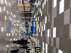 -郑州新郑国际机场