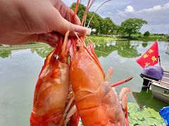 -水岸居湖景农家乐·阳澄湖大闸蟹