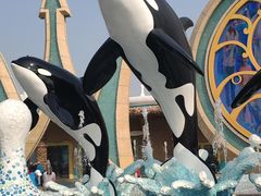 -雪绒花路停车场