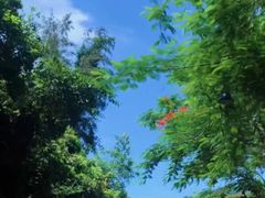 -石梅湾