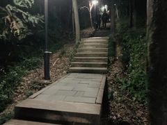-峙山公园