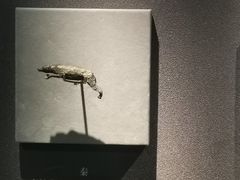 -秦始皇帝陵博物院(兵马俑)