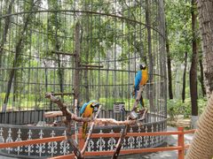 -北京野生动物园