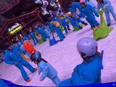 -世界之窗阿尔卑斯冰雪世界