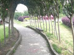 -武汉紫薇都市田园