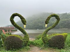 -广州市石门国家森林公园