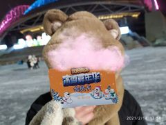 -沈阳奥体冰雪嘉年华