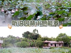 -惠州西湖丰渚园