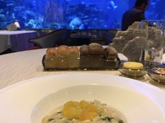 -迪拜帆船酒店海底餐厅