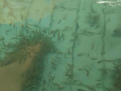 -天山海世界·米立方