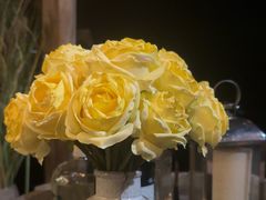 -六阅·福十 FORTEN 海景咖啡西餐厅(双廊古镇店)