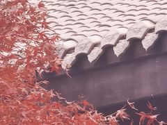 -三苏祠
