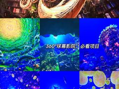 -海合安青岛极地海洋公园