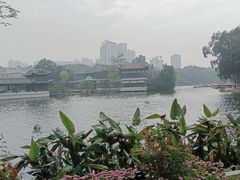 -荔湾湖公园