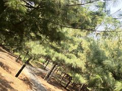 -森林公园(尖草坪区)