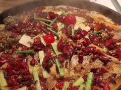 -老板恋上鱼(印象城店)