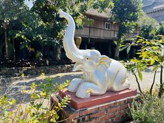 -西双版纳傣族园