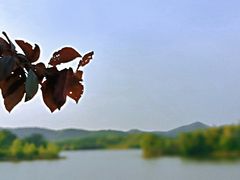 -佛手湖郊野公园