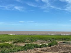 -南汇嘴观海公园