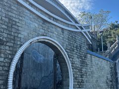 -风云岭森林公园