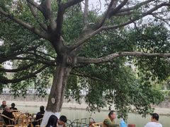 -成都市活水公园