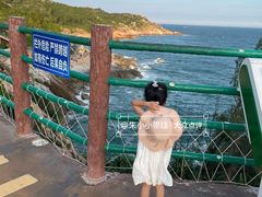 -广东惠东海龟国家级自然保护区