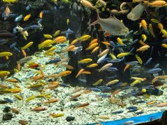 -太平洋海底世界