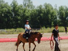 -北京群众马术培训基地